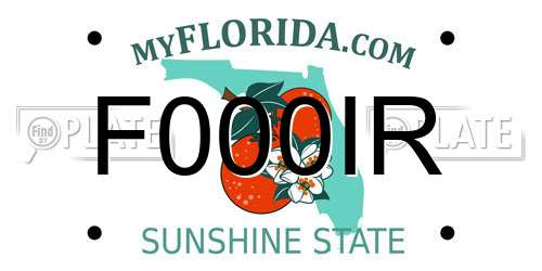 F000IR Florida License Plate