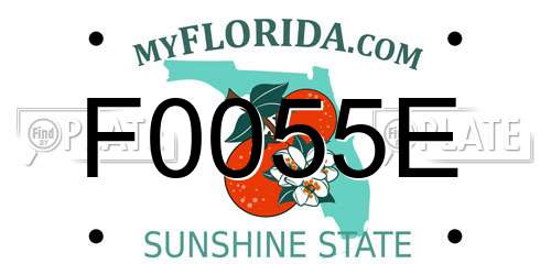 F0055E Florida License Plate
