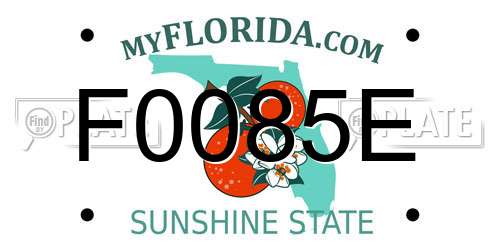 F0085E Florida License Plate