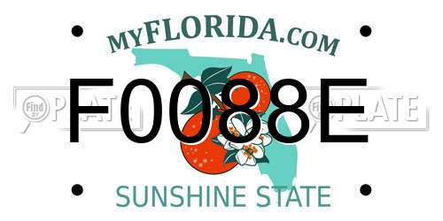 F0088E Florida License Plate