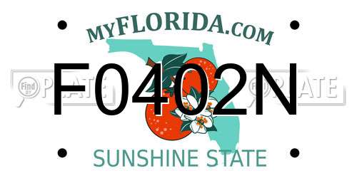F0402N Florida License Plate