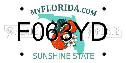 F063YD Florida License Plate