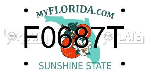 F0687T Florida License Plate
