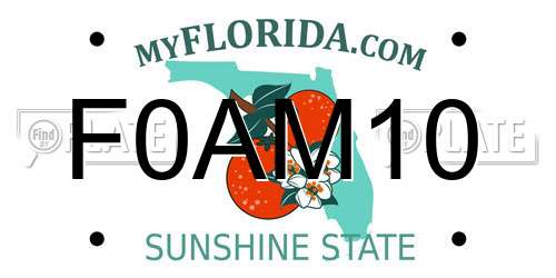 F0AM10 Florida License Plate