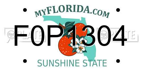 F0P1304 Florida License Plate