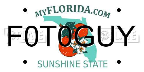 F0T0GUY Florida License Plate