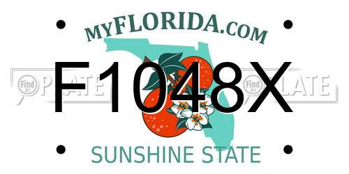 F1048X Florida License Plate