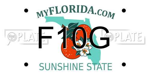 F10G Florida License Plate