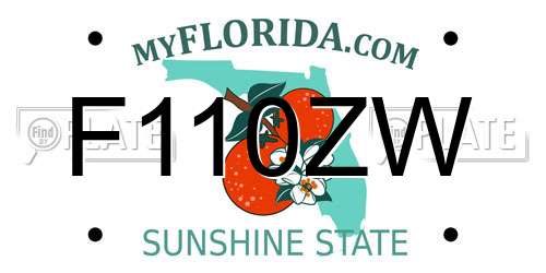 F110ZW Florida License Plate