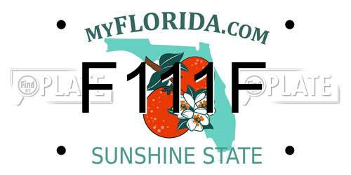 F111F Florida License Plate