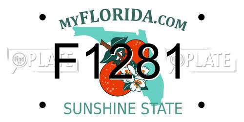 F1281 Florida License Plate