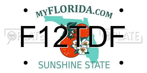 F12TDF Florida License Plate