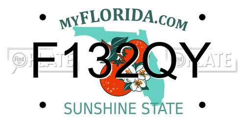 F132QY Florida License Plate
