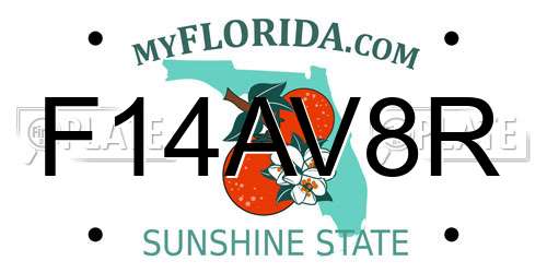 F14AV8R Florida License Plate