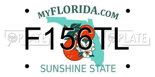 F156TL Florida License Plate