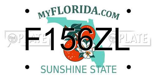 F156ZL Florida License Plate