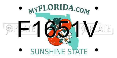 F1651V Florida License Plate