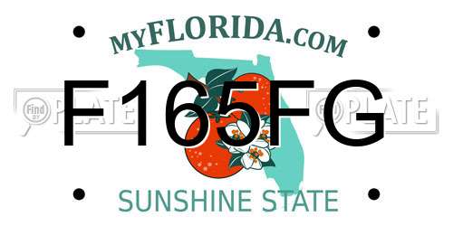 F165FG Florida License Plate