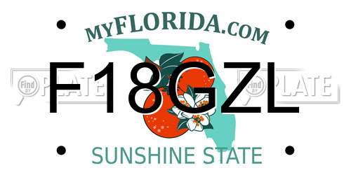 F18GZL Florida License Plate