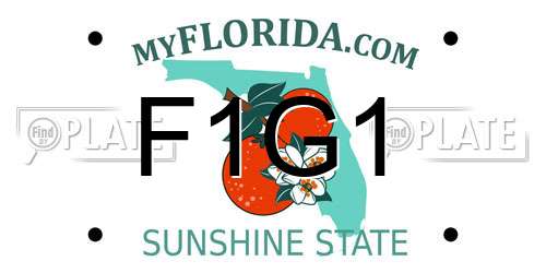 F1G1 Florida License Plate