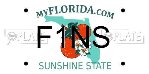 F1NS Florida License Plate