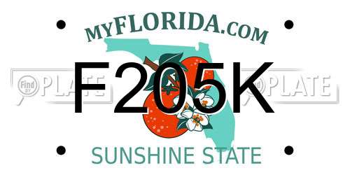 F205K Florida License Plate