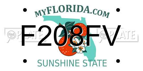 F208FV Florida License Plate