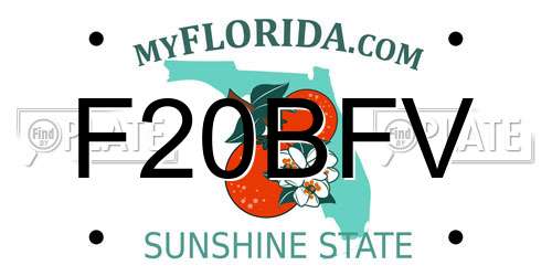 F20BFV Florida License Plate