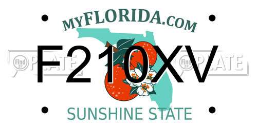 F210XV Florida License Plate