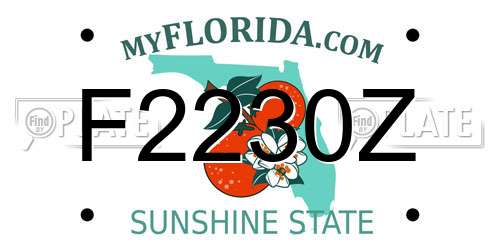 F2230Z Florida License Plate