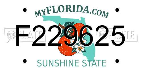 F229625 Florida License Plate