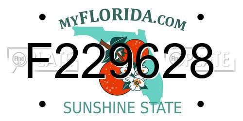 F229628 Florida License Plate