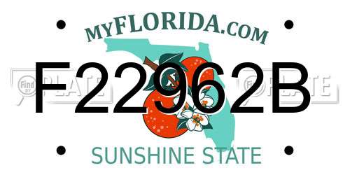 F22962B Florida License Plate