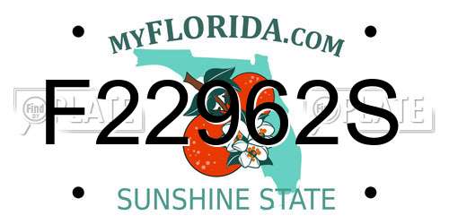 F22962S Florida License Plate
