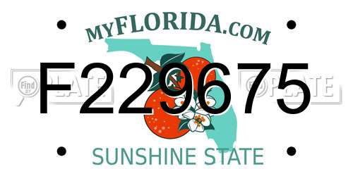 F229675 Florida License Plate