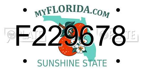 F229678 Florida License Plate