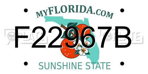 F22967B Florida License Plate