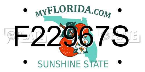 F22967S Florida License Plate