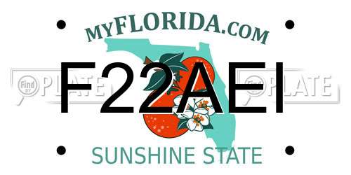F22AEI Florida License Plate
