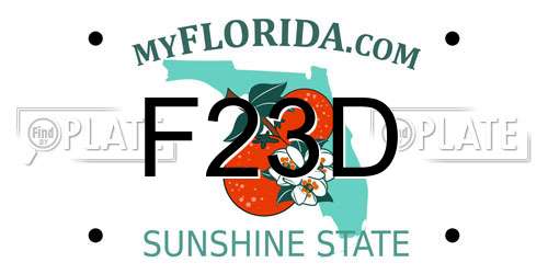 F23D Florida License Plate