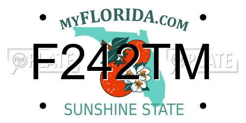 F242TM Florida License Plate