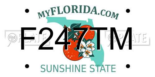 F247TM Florida License Plate