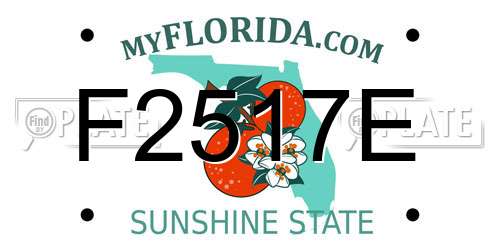 F2517E Florida License Plate