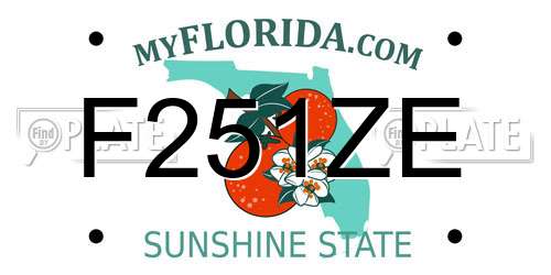 F251ZE Florida License Plate
