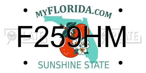 F259HM Florida License Plate