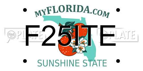 F25ITE Florida License Plate