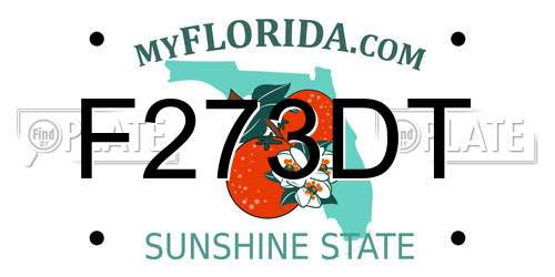F273DT Florida License Plate