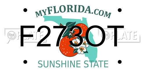 F273OT Florida License Plate