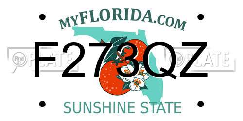 F273QZ Florida License Plate