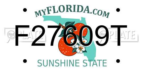 F27609T Florida License Plate